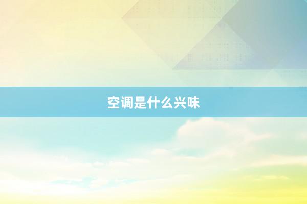 空调是什么兴味